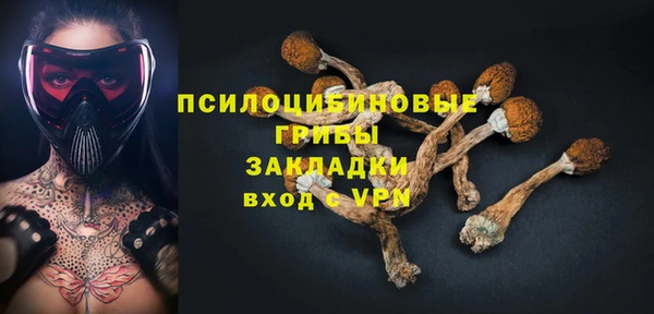 COCAINE Бородино