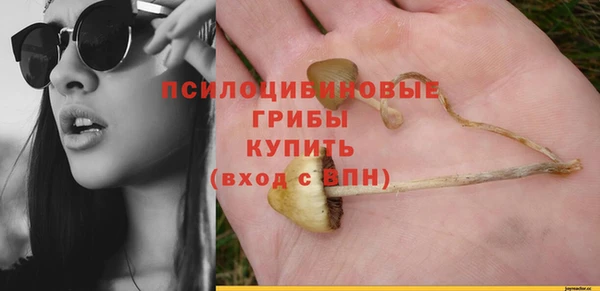 сатива Бронницы