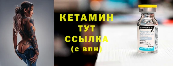 сатива Бронницы